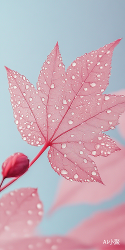 Fresh Close Up of Pink Maple Leaf with Water Droplets