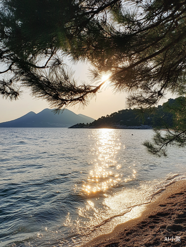 美丽宁静的海滨日落与松树景色