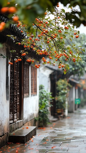 江南宽敞的古街镇，古老的青石小巷，雨丝轻柔地洒落，柿子树满载红色柿子，树下青藤缠绕，朦胧的水汽渗透过古屋的窗棂，静谧而温馨的氛围，青瓦白墙映衬出秋日的宁静。高清写实