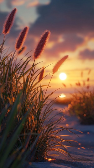 tall grass at sunset in front of a sidewalk, in the style of bloomcore, dutch marine scenes, furaffinity, en plein air beach scenes, nature-inspired forms, 32k uhd, manapunk