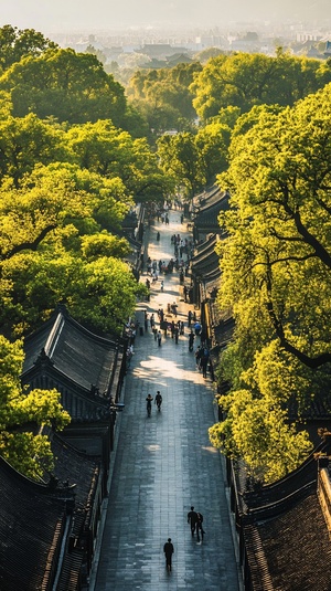 全景，繁华的中国古城市中，大街小巷，人来人往，公园花园，初夏的季节，到处都是绿树成荫，却不见花朵的踪影。