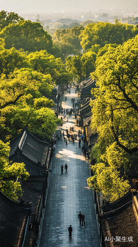 繁华古城的初夏绿荫景致