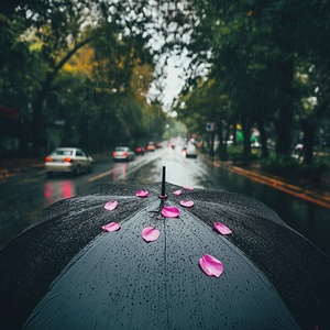 下雨天撑伞第三人称视角可以看到伞上面有雨滴和4片粉红色的花瓣在马路上有汽车暗灰色天气两旁有树要动图