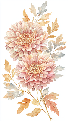 Delicate Watercolor Illustration of Pink and Beige Chrysanthemums