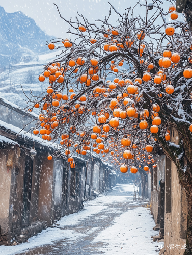 江南小镇雪中柿子树的唯美摄影