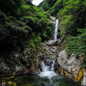 阳光树影与溪水潺潺的自然秘境