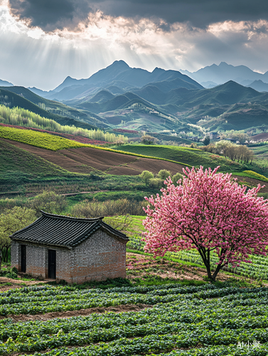 春日乡村景色青山花海与孤独瓦房的宁静生活