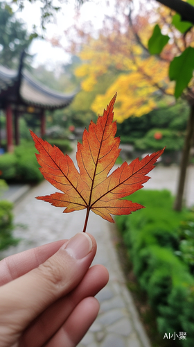 . 一片枫叶，飘落在掌心，细数其纹理，仿佛能触摸到秋的心跳，那是岁月沉淀后的深沉与热烈。