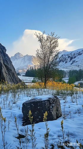 雪山