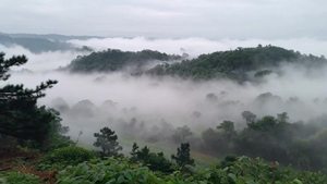 江南烟雨