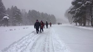 下雪天匆匆行走的人群