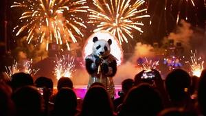 可爱熊猫华丽演出满脸自信与激情的表演瞬间