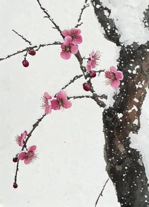 雪花慢慢的飘落。