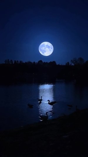 深夜湖面上，一轮明月高挂天空，几只孤雁从天空中飞过，