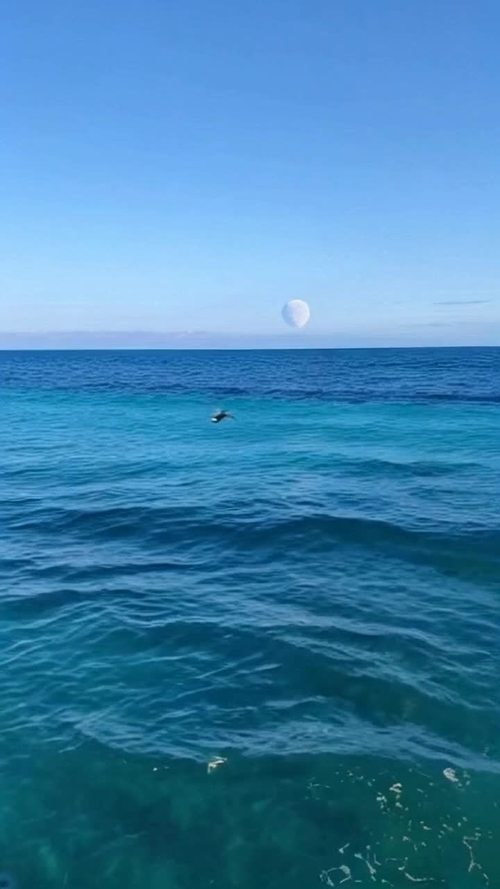 一望无际的大海，水非常清澈，海水拍打沙滩，小波浪，细节放大，海面天际线，一轮非常大的半个圆月，几只孤雁飞翔，镜头压低，贴近水面视角，不运镜，48k