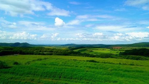 唯美风景