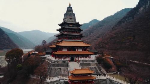 夜宿山寺，唐李白。危楼高百尺，手可摘星辰。不敢高声语，恐惊天上人。