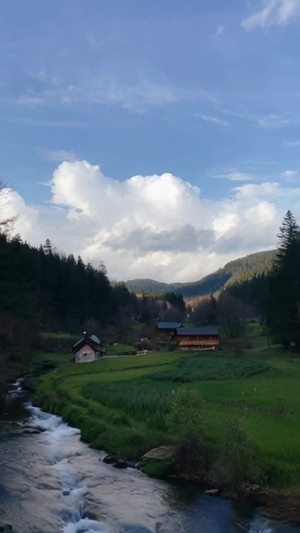 树上有白色爱心云朵，小木屋，小溪流美不胜收，风景实景