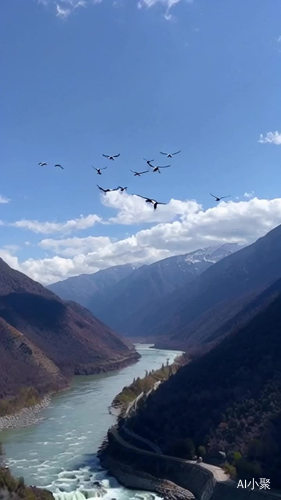 大美河山鸟儿翱翔的壮丽景象