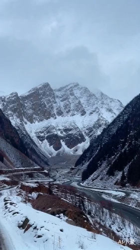 东北的山脉，白雪皑皑，崎岖的山路，挺拔的树枝