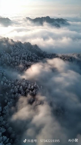 当黄山的云海与冬雪相遇，会是怎样的画面？这是我见过最美的黄山！如果你也喜欢，点赞收藏起来！n这是一位安徽摄影师拍摄的视频。他用镜头记录下了黄山从入秋到封山期间的四季变换。n春日绿意盎然，夏日云雾缭绕，秋日层林尽染，冬日银装素裹。一年四季的黄山之美，在他的镜头下展现得淋漓尽致。n尤其是冬天的第一场雪，让黄山更加灵动而神秘。群峰披上洁白的外衣，松枝凝结成晶莹的霜花，仿佛进入了童话世界。n如果可以，请一定要在冬天来一次黄山，感受它的美。