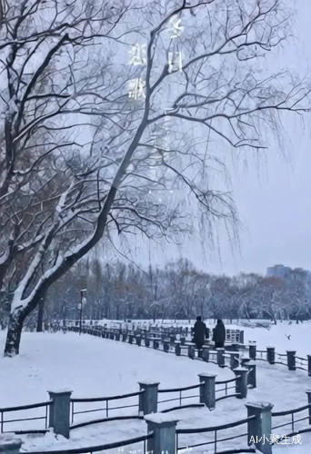 大雪纷飞，雪中漫步