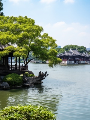 《苏州金鸡湖全毛貌》剧情简介：该剧以苏州金鸡湖为背景，讲述了苏州金鸡湖从古至今的历史发展和变迁。故事从古代开始，揭示了苏州金鸡湖的起源与传说，以及与苏州城的关系。随着时间的推移，剧情展现了金鸡湖的变迁和周边人们的生活故事。剧情梗概：第一集：湖的传说故事回溯到古代，揭示了金鸡湖的神秘传说。据说，金鸡湖是由一只神鸟掉落下的羽毛形成的，具有神奇的力量。湖边的居民们发现了这只神鸟，并相信它会带来好运。然而，湖边的宝藏也引起了贪婪的人们的争夺。第二集：湖的风景随着时间的推移，金鸡湖的风景变得越来越美丽，吸引了越来越多的游客。剧中展示了湖边的景点，如湖心亭、观音桥等，以及周边人们的生活和经营方式。第三集：湖的变迁随着城市的发展，金鸡湖也经历了一系列的变迁。剧中展示了湖边的建筑物和景观的变化，同时描述了湖边居民的生活和工作环境的改变。城市化的发展带来了机遇，也带来了挑战。第四集：湖的传承剧中重点展示了金鸡湖的文化传承和历史意义。通过展示传统艺术表演、庙会和舞蹈等活动，让观众了解到金鸡湖的文化底蕴和保护工作。第五集：湖的未来剧中展望了金鸡湖的未来发展，以及湖边居民v