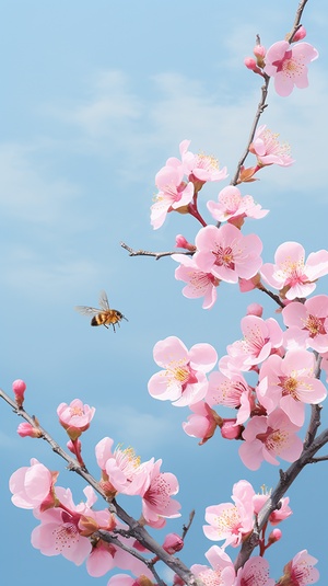 蔚蓝天空中的桃花与小蜜蜂