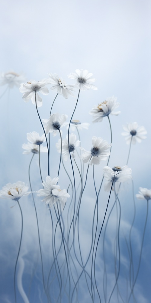 Close-up, lowered head, Small daisys made of smoke, floating in the air, by akos major,abstract, motion blur, frozen moment, stunning imagination, 雾霾蓝和白色, dissipate, as silky as water