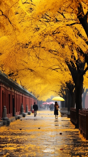 细雨蒙蒙的桂花小巷