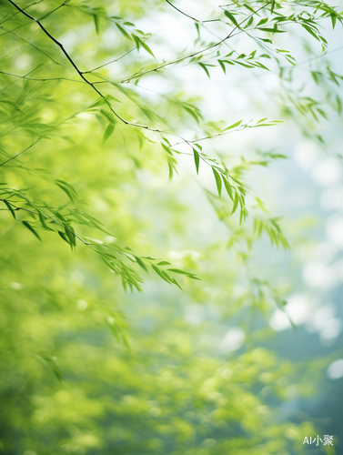 植物学抽象与摄影融合，sigma 85mm f1.4 dg hsm艺术